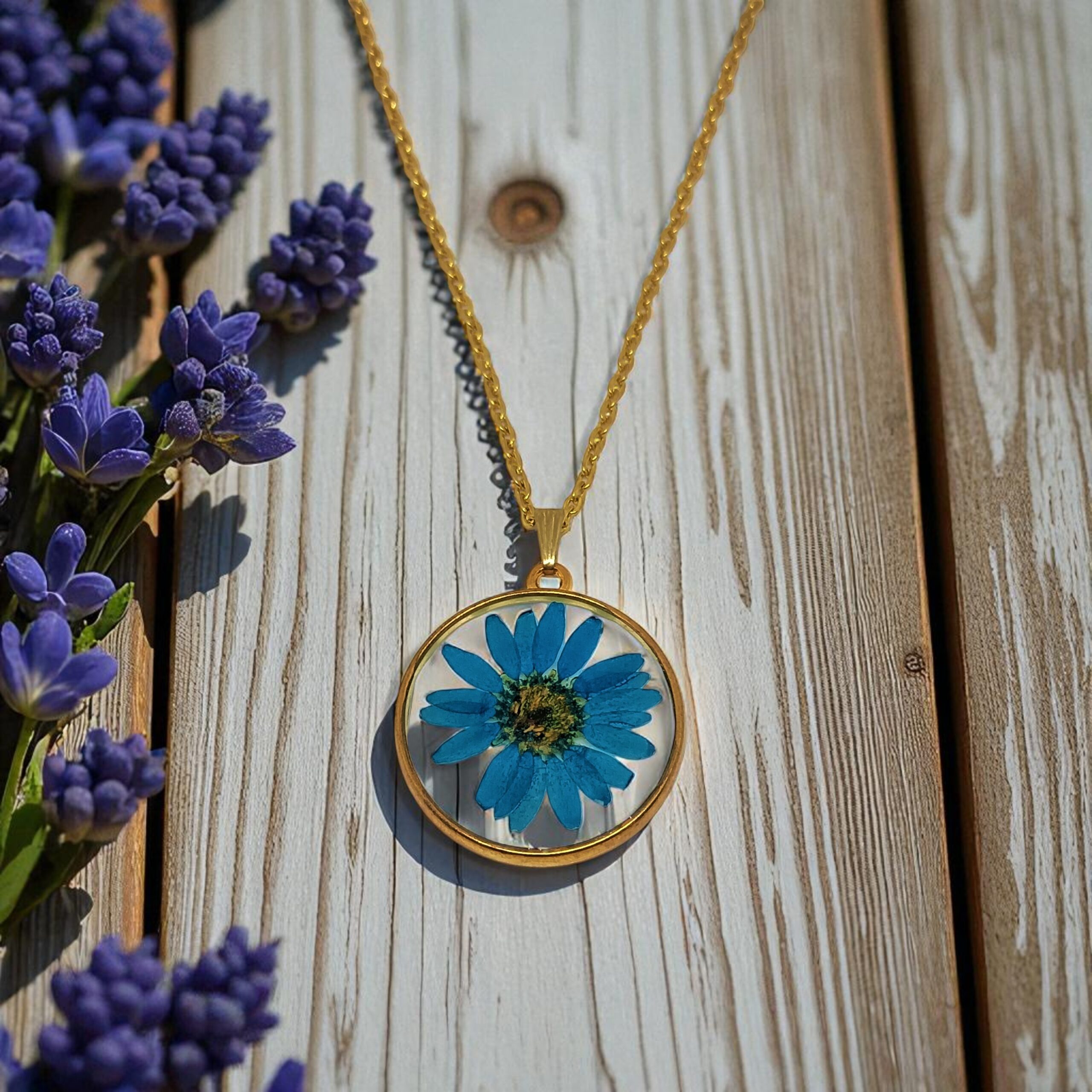 IMG_20250921_134710 (2)